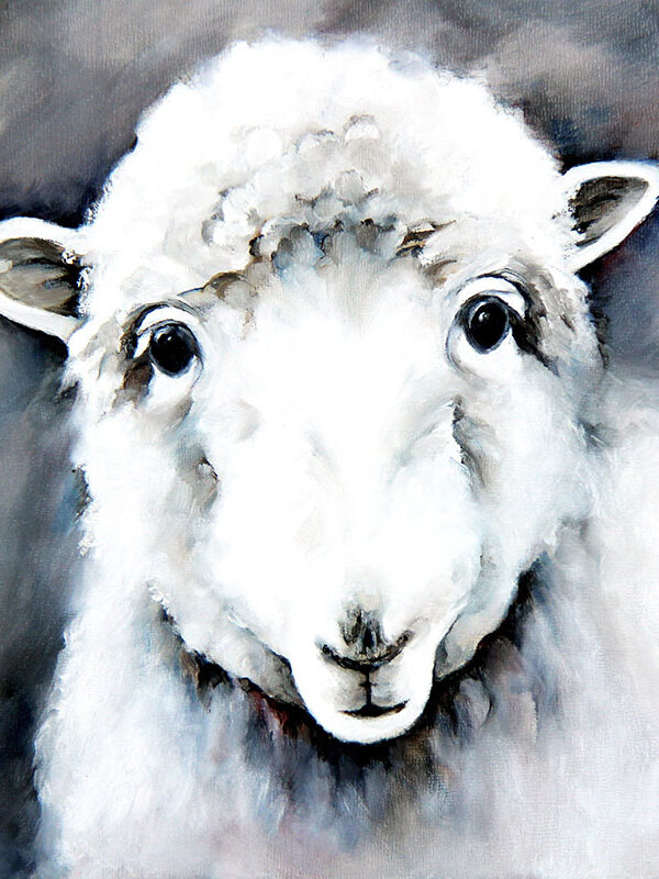 sbrunskill-12-sheep