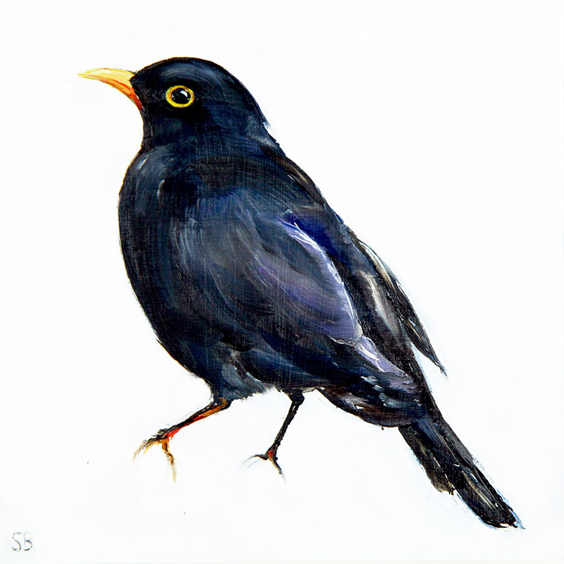 sbrunskill-16-blackbird
