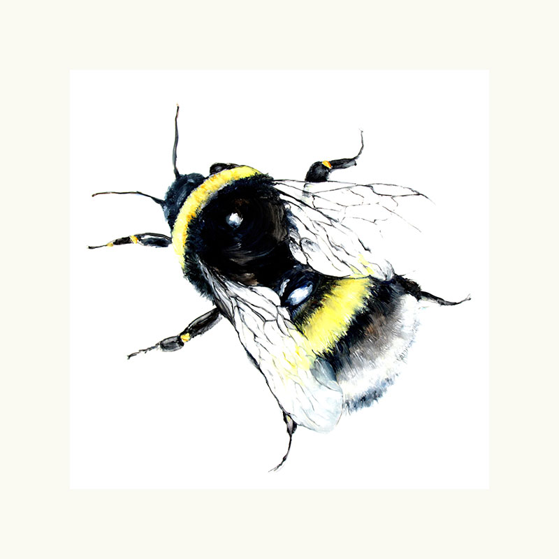 sbrunskill-bumblebee-print