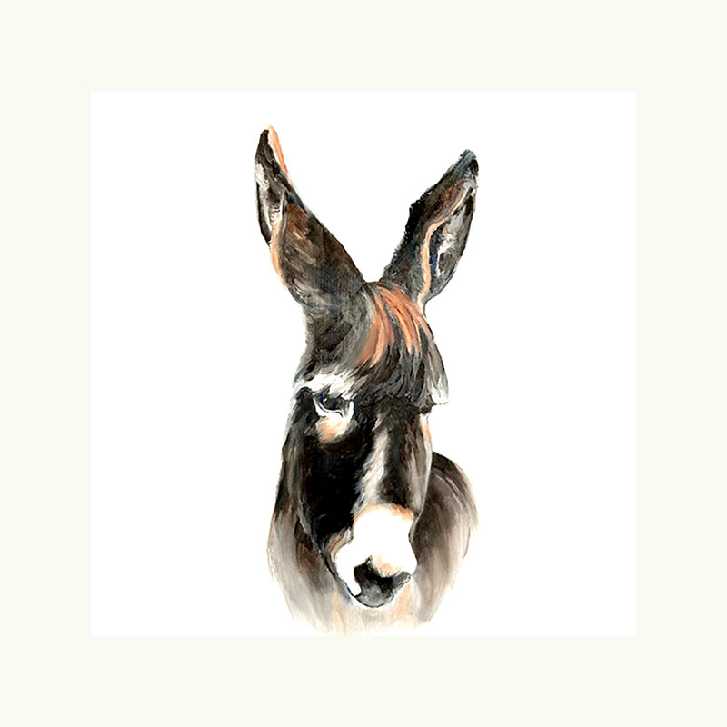 sbrunskill-donkey-print