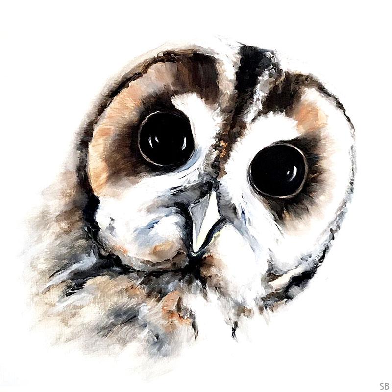 sbrunskill-20-owl