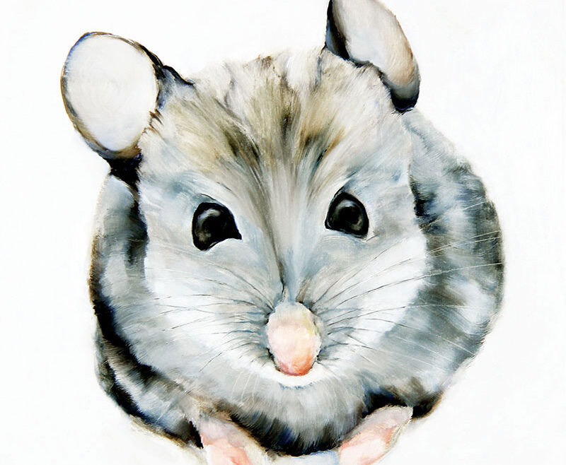 sbrunskill-21-mouse