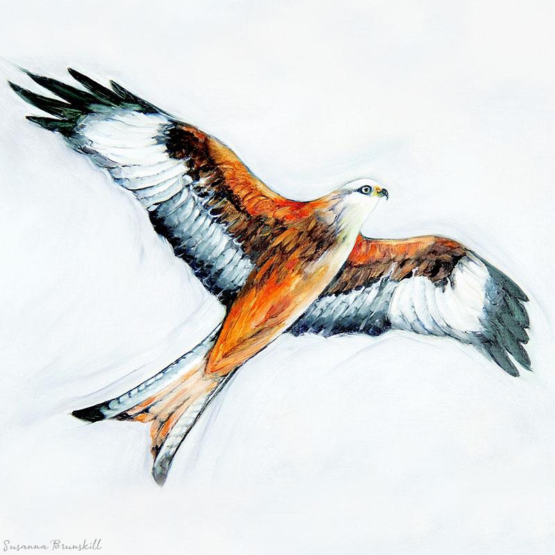 sbrunskill-25-red-kite