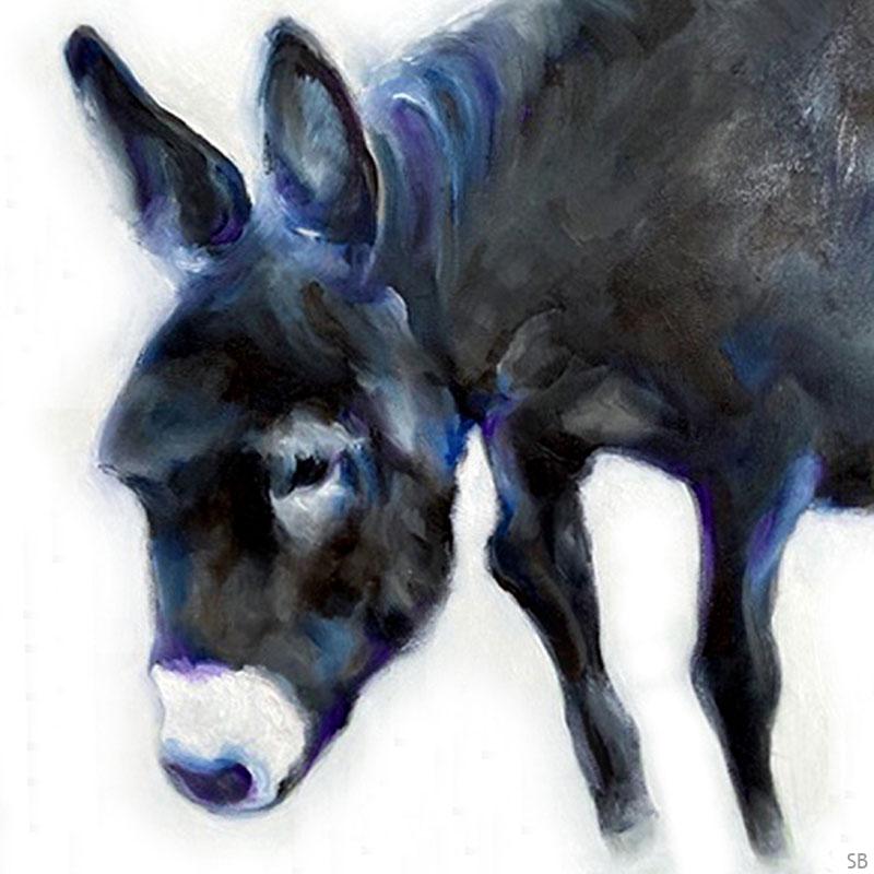 sbrunskill-26-donkey