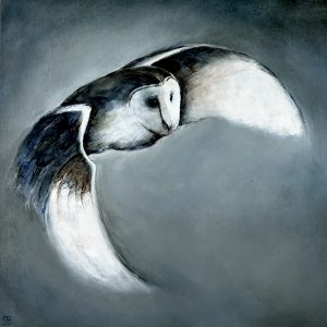 Barn owl flying from dark background