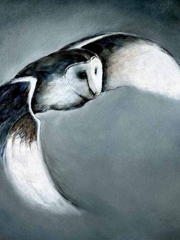 Barn owl flying from dark background