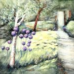 Purple Alliums and yellow daylilies beside the garden path