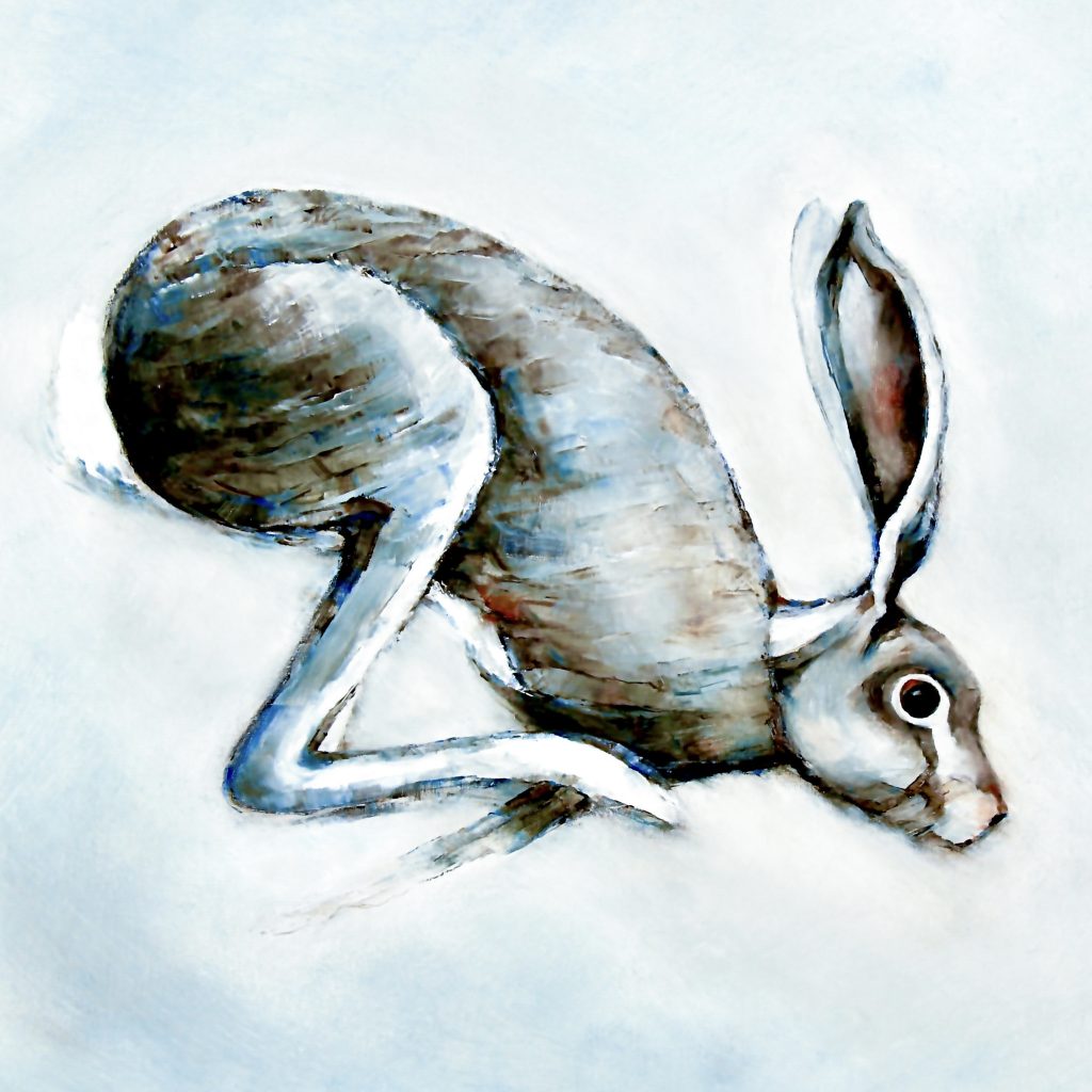 Brown hare running downhill