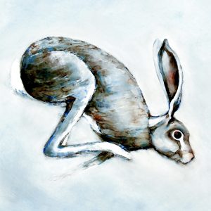 Brown hare running downhill