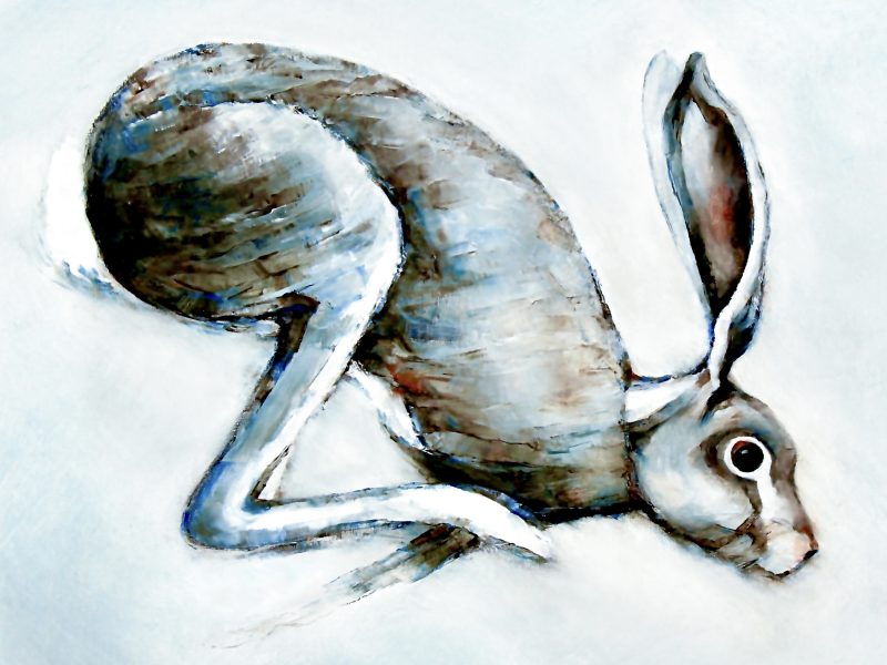 Brown hare running downhill