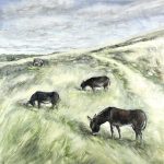 Donkeys grazing on Blewburton Hill
