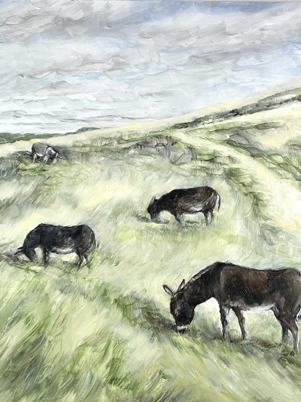 Donkeys grazing on Blewburton Hill