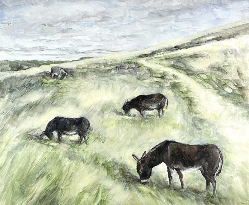 Donkeys grazing on Blewburton Hill